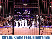 Circus Krone Februar Programm 2015 unter dem Motto "Die jungen Wilden". Weiße Junglöwen und mehr